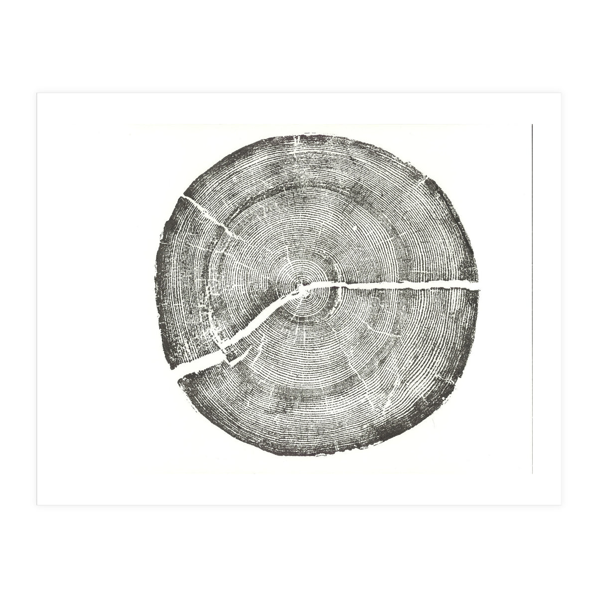 Rock Canyon, Tree Ring Print, Woodblock (Print Only)