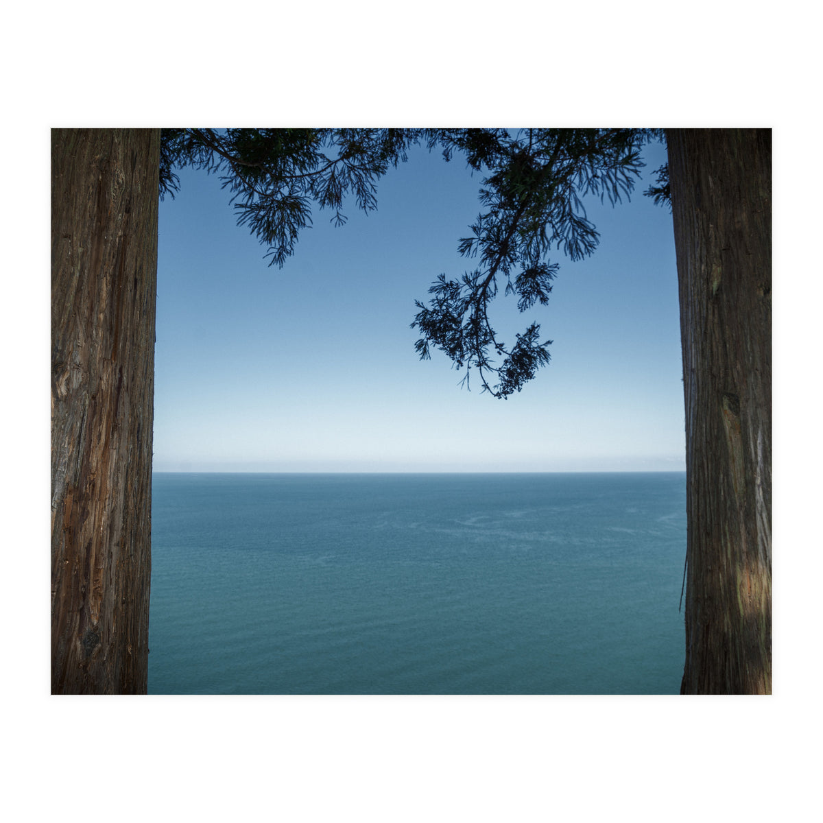 Picture Postcard Perfect (Print Only)