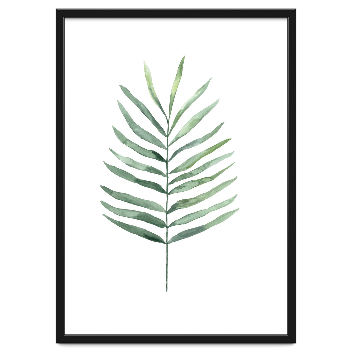 Botanical Illustration Fern