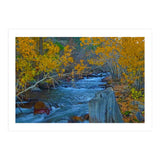 Nature (Print Only) thumbnail