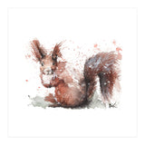 Squirrel - Wildlife Collection (Print Only) thumbnail