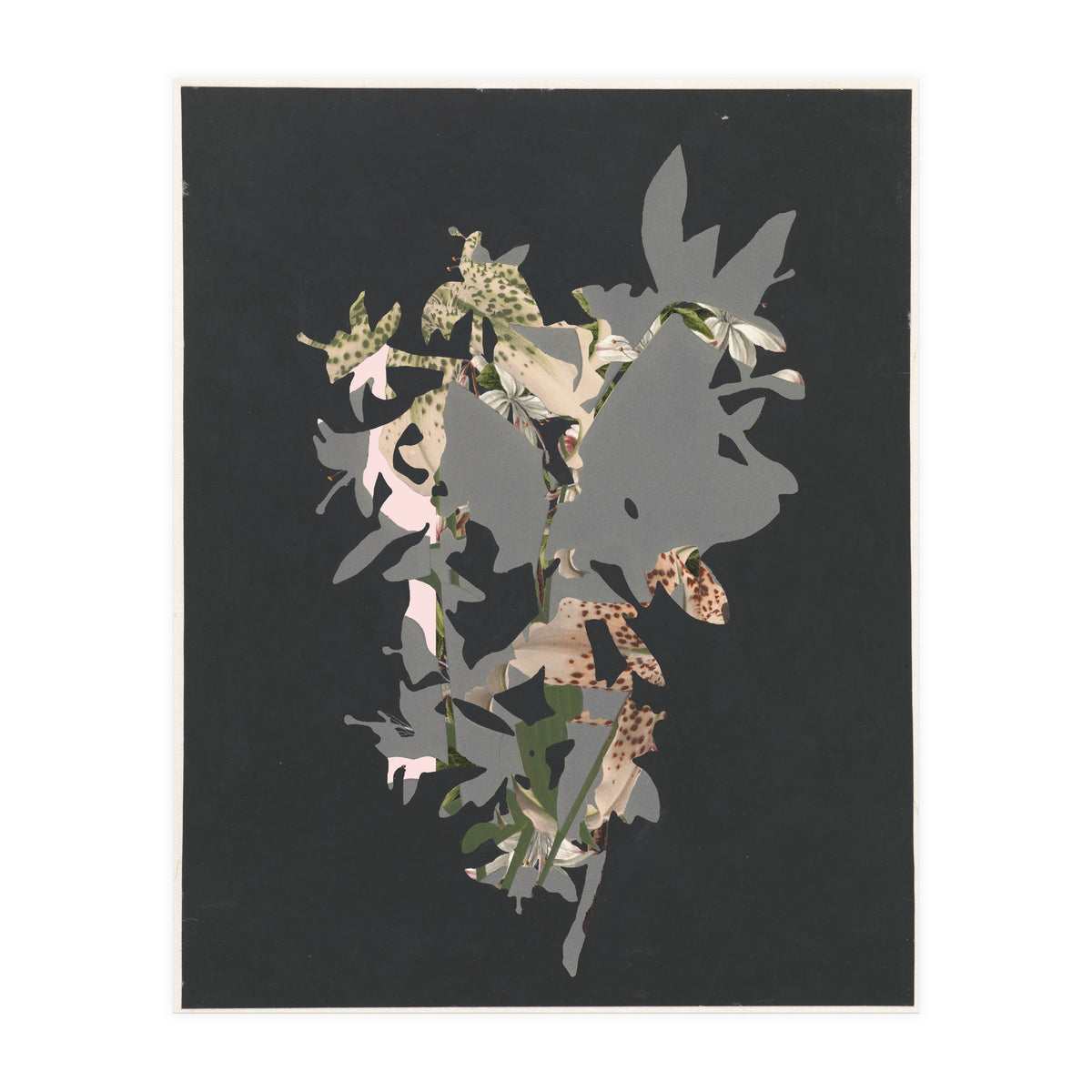 The First Plant · Black (Print Only)