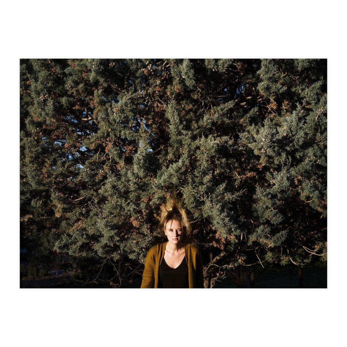 Transition from Summer to Winter (Print Only)