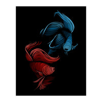 bettas fight (Print Only)