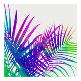 Colorful Palm (Print Only) thumbnail