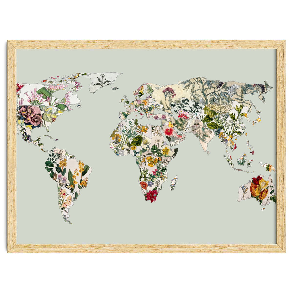 Vintage Botanical Map - Green