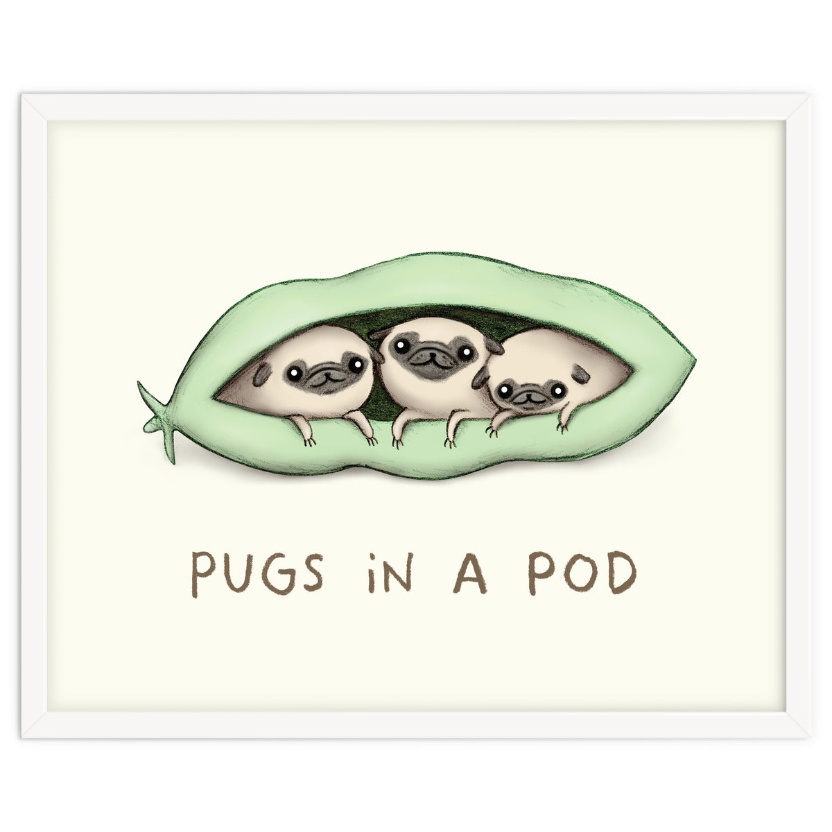 Pugs In A Pod