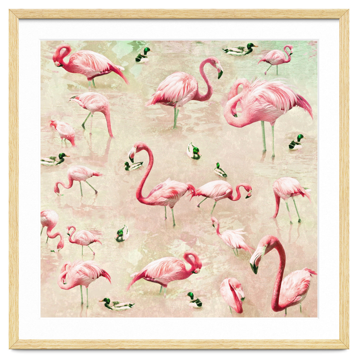 Flamingos Vintage Pink