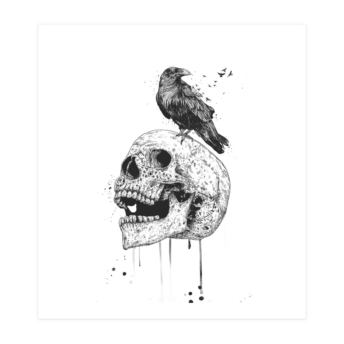 New Skull (bw) (Print Only)