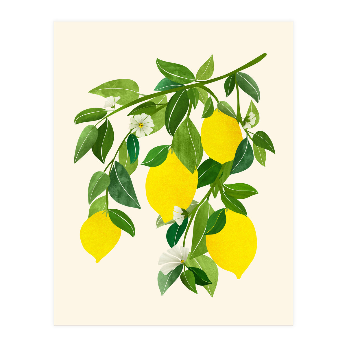 Sunny Lemons (Print Only)