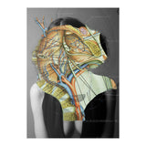 Crazy Woman 210 (Print Only) thumbnail