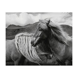 Horses In The Sky (Print Only) thumbnail