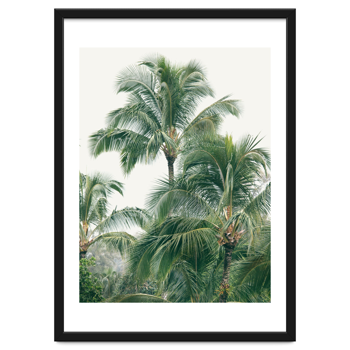 Lush Palm Trees