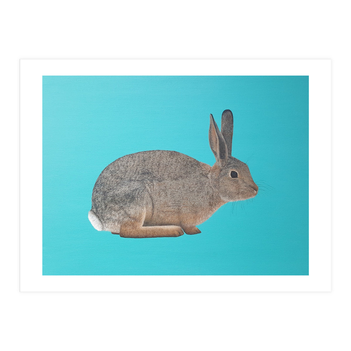 Rabbit (Print Only)