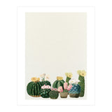 Cactus Garden (Print Only) thumbnail