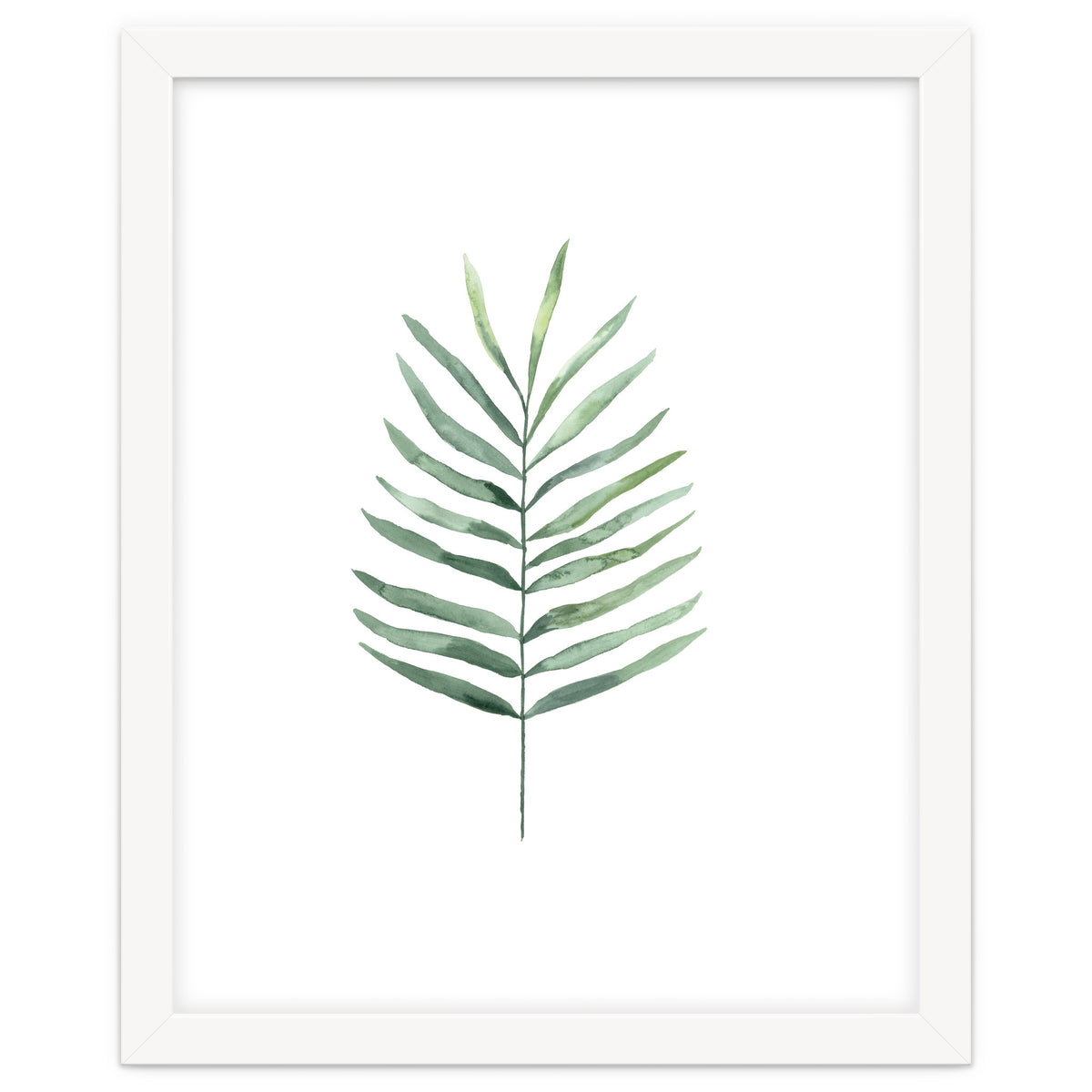 Botanical Illustration Fern