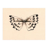 Butterfly (Print Only) thumbnail