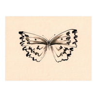 Butterfly (Print Only)