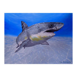 Formidable Beauty (Print Only) thumbnail