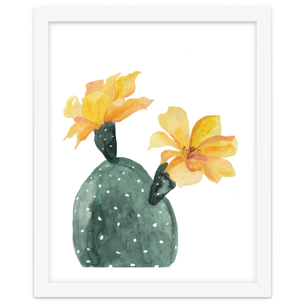 Botanical Illustration Yellow Cactus Flowers