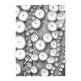 Octopus no. 3 (Print Only) thumbnail