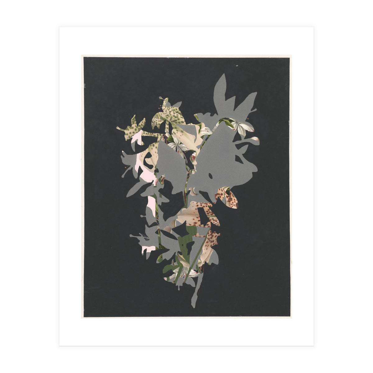 The First Plant · Black (Print Only)