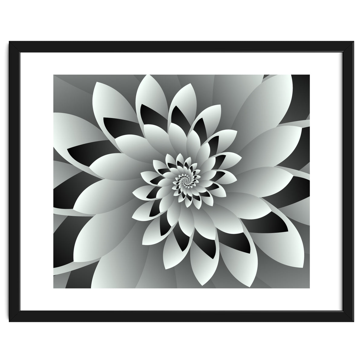 Black & White Floral