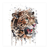 Leopard - Wildlife Collection (Print Only) thumbnail