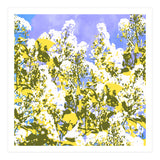 The Contrast Of Desire (Print Only) thumbnail
