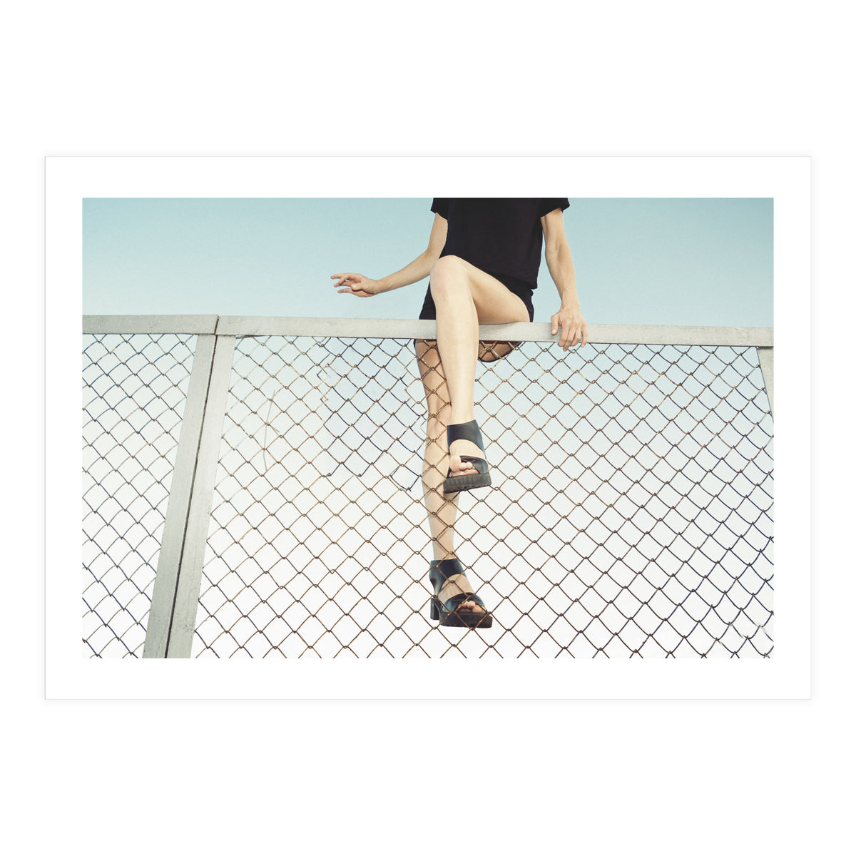 Hoping Fences (Print Only)