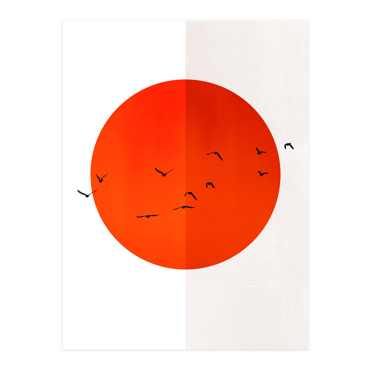 Seagulls Of The Sun (Print Only)