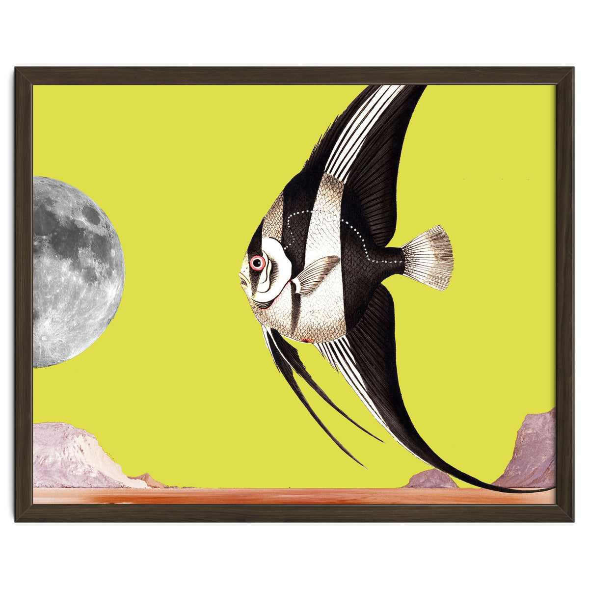 Plenty of fish in the sea yellow