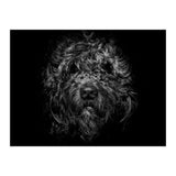 Ziggy Portrait No 1 (Print Only) thumbnail
