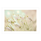Enchanting Snowdrops (Print Only) thumbnail