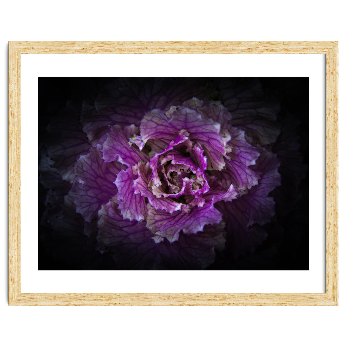 Backyard Flowers No 42 Color Version