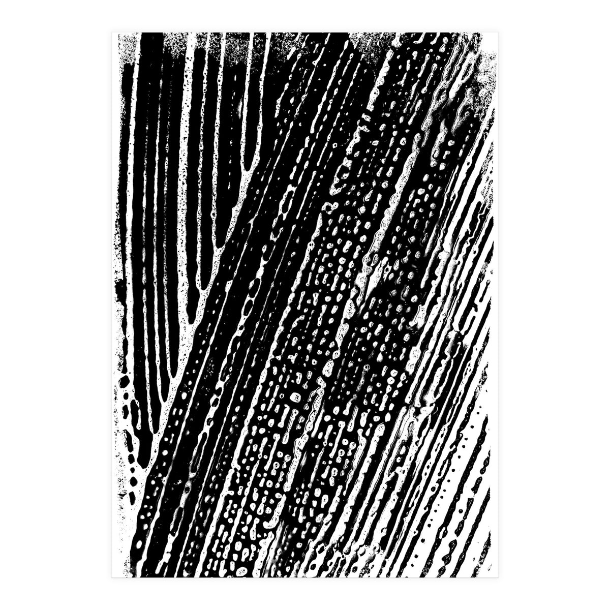 Dizzy 2 (Print Only)