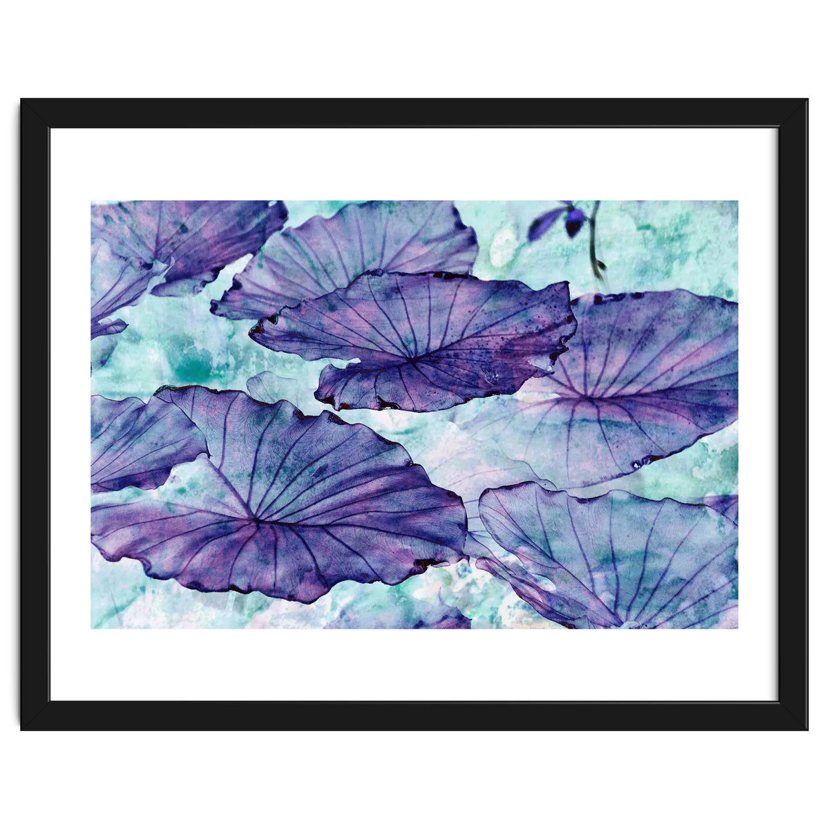 Botanical Surrealism