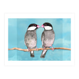 Two kissing Java sparrows (Print Only) thumbnail