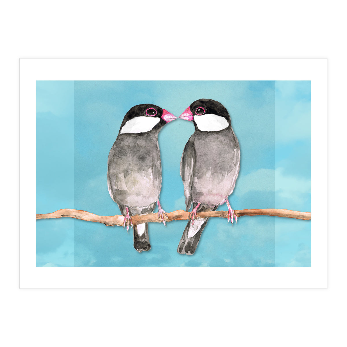 Two kissing Java sparrows (Print Only)