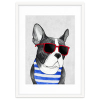 Frenchie Summer Style