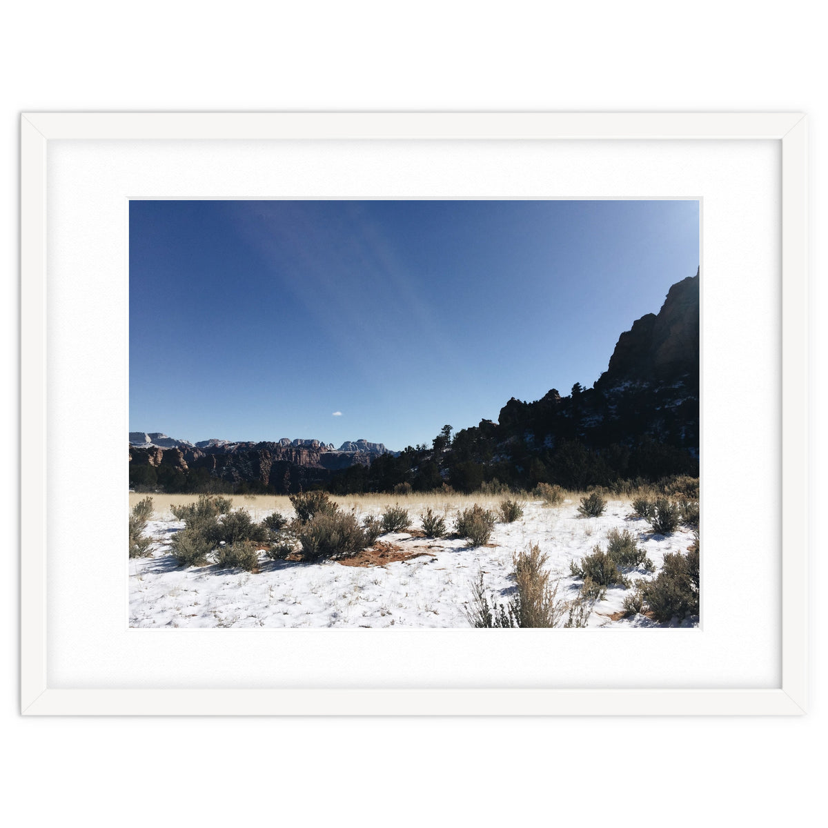 Zion National Park II