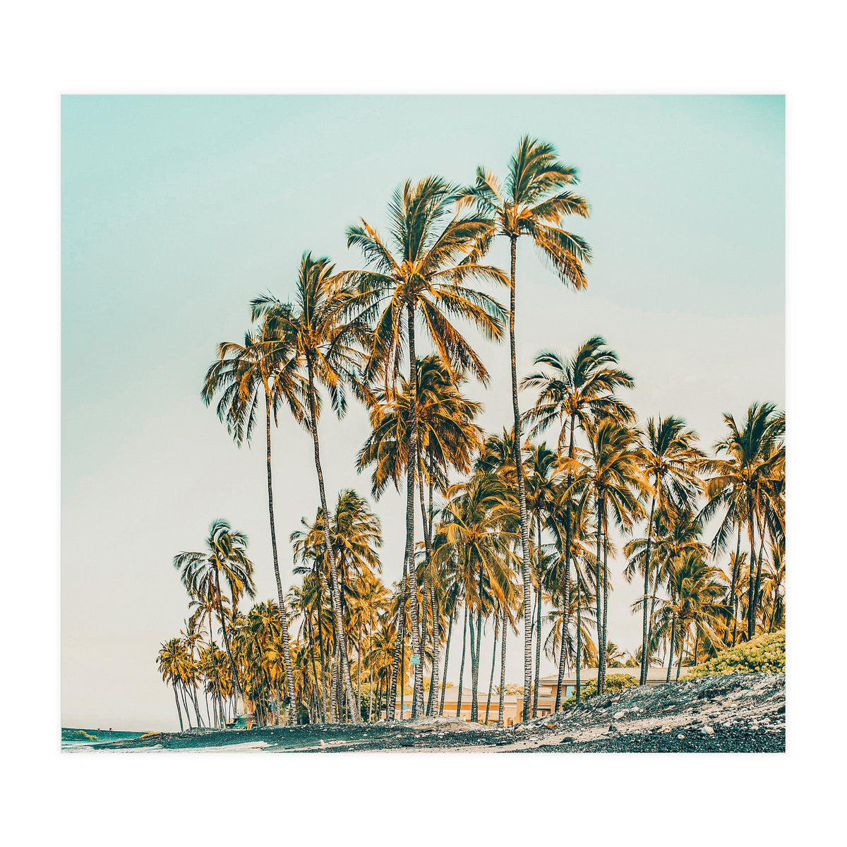 Island Life III (Print Only)