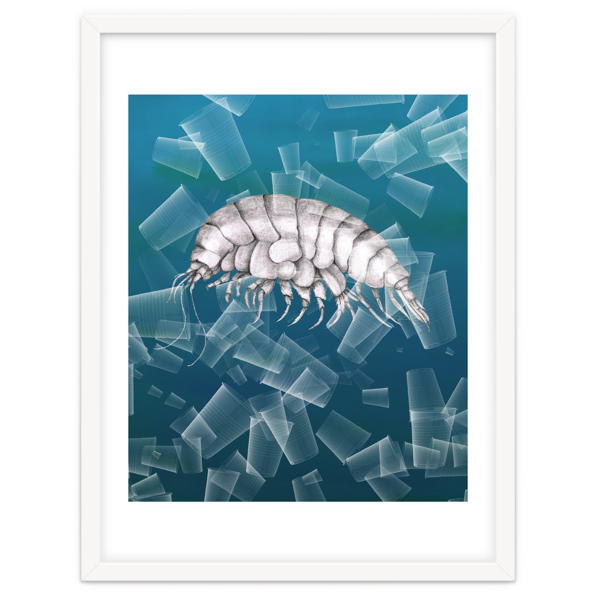 Eurythenes Plasticus