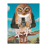 Just Say Cheese (Print Only) thumbnail
