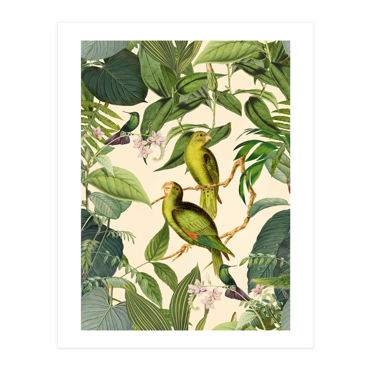 Green Jungle Parakeets (Print Only)