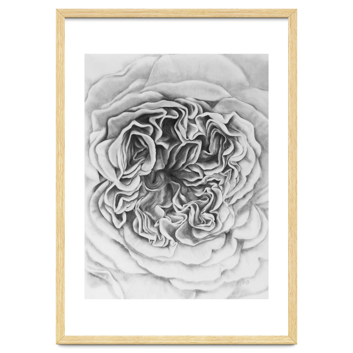 A Rose in Monochrome