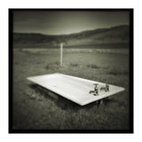 Waterstein 4 (Print Only) thumbnail