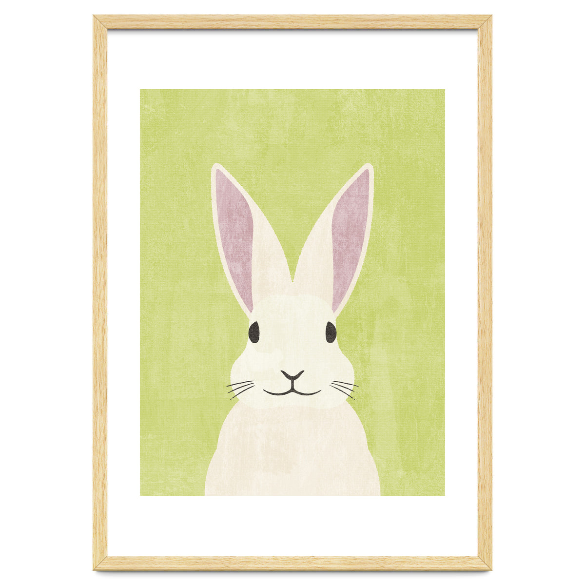 FAUNA / Rabbit