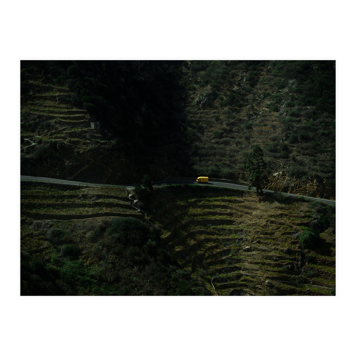 Deliveries (Print Only)