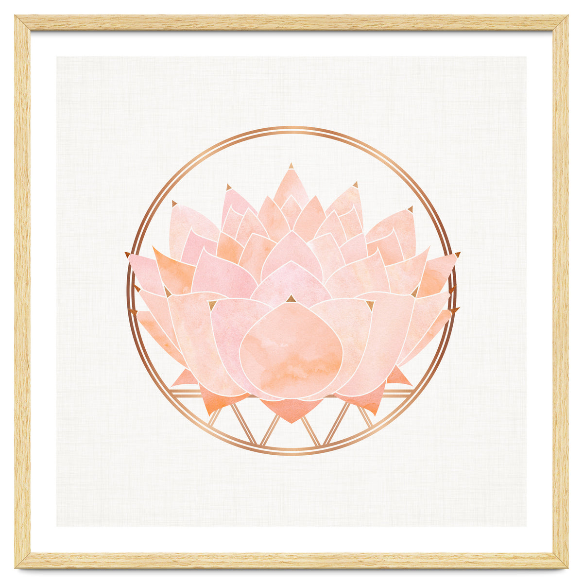 Peach Succulent  Blossom